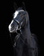 Lumiere Amie Luxury Double Leather Bridle - Equine Horse Wear 