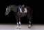 Lumiere Amie Luxury Double Leather Bridle - Equine Horse Wear 