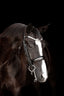 Lumiere Amie Luxury Double Leather Bridle - Equine Horse Wear 