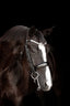 Lumiere Amie Luxury Double Leather Bridle - Equine Horse Wear 