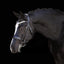 Lumiere Amie Luxury Double Leather Bridle - Equine Horse Wear 