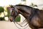 Lumiere Amie Luxury Double Leather Bridle - Equine Horse Wear 