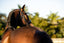 Lumiere Amie Luxury Double Leather Bridle - Equine Horse Wear 