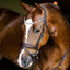 Lumiere Amie Rolled Leather Bridle - Equine Horse Wear 