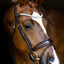 Lumiere Amie Rolled Leather Bridle - Equine Horse Wear 