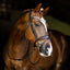 Lumiere Amie Rolled Leather Bridle - Equine Horse Wear 