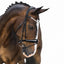 Lumiere Amie Rolled Leather Bridle - Equine Horse Wear 