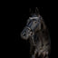 Lumiere Amie Rolled Leather Bridle - Equine Horse Wear 