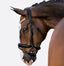 Lumiere Amie Rolled Leather Bridle - Equine Horse Wear 
