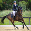 Lumiere Anka Leather Breastplate - Equine Horse Wear 