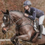 Lumiere Anka Leather Breastplate - Equine Horse Wear 