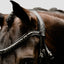 Lumiere Arcadia Cavesson Luxury Leather Bridle - Equine Horse Wear 