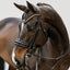 Lumiere Ariana Cavesson Patent Noseband - Equine Horse Wear 