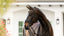 Lumiere Ariana Double Bridle - Equine Horse Wear 