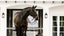 Lumiere Ariana Double Bridle - Equine Horse Wear 