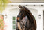 Lumiere Ariana Double Bridle - Equine Horse Wear 