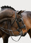 Lumiere Ariana Double Bridle - Equine Horse Wear 