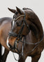 Lumiere Ariana Double Bridle - Equine Horse Wear 