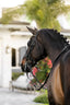 Lumiere Ariana Double Bridle - Equine Horse Wear 