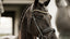 Lumiere Ariana Haoverian Bridle - Equine Horse Wear 