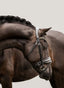 Lumiere Ariana Haoverian Bridle - Equine Horse Wear 