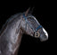 Lumiere Audrey Luxury Leather Double Bridle - Equine Horse Wear 