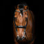 Lumiere Audrey Luxury Leather Double Bridle - Equine Horse Wear 