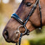 Lumiere Aurelie Rolled Leather Cavesson Bridle - Equine Horse Wear 