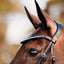 Lumiere Aurelie Rolled Leather Cavesson Bridle - Equine Horse Wear 