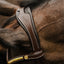 Lumiere Dallas Bridle - Equine Horse Wear 