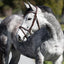 Lumiere Delaney Bridle - Equine Horse Wear 