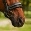 Lumiere Delta Cavesson Bridle - Equine Horse Wear 