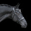 Lumiere Diamante Crystal Smaller Loop Browband - Equine Horse Wear 
