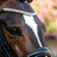 Lumiere Flat Cavesson Patent Noseband - Equine Horse Wear 