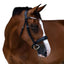Lumiere Flat Cavesson Patent Noseband - Equine Horse Wear 