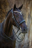 Lumiere Madeline Luxury Leather Double Bridle - Equine Horse Wear 