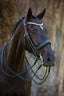 Lumiere Madeline Luxury Leather Double Bridle - Equine Horse Wear 