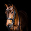 Lumiere Madeline Luxury Leather Double Bridle - Equine Horse Wear 