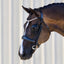 Lumiere Madeline Rolled Leather Cavesson Bridle - Equine Horse Wear 