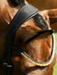 Lumiere Megan Convertible Leather Bridle - Equine Horse Wear 