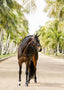 Lumiere Megan Convertible Leather Bridle - Equine Horse Wear 