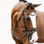 Lumiere Melodie Classic Bridle - Equine Horse Wear 