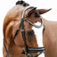 Lumiere Melodie Classic Bridle - Equine Horse Wear 