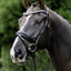 Lumiere Melodie Hanoverian Patent Noseband - Equine Horse Wear 