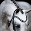 Lumiere Melodie White Padded Bridle - Equine Horse Wear 