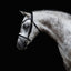 Lumiere Melodie White Padded Bridle - Equine Horse Wear 