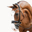 Lumiere mercie rolled patent bridle kiwipetz