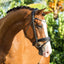 lumiere mercie rolled patent bridle kiwipetz
