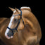 Lumiere Mila Anatomic Leather Bridle - Equine Horse Wear 