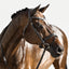 Lumiere Milan Convertible Leather Bridle - Equine Horse Wear 